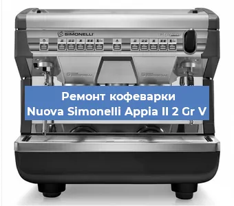 Ремонт капучинатора на кофемашине Nuova Simonelli Appia II 2 Gr V в Москве